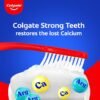 Colgate Toothpaste 250 g + 250 g = 500 g