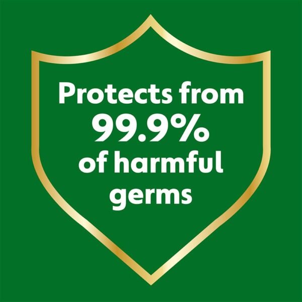 Dettol Skincare Soap Pack of 4*100 g