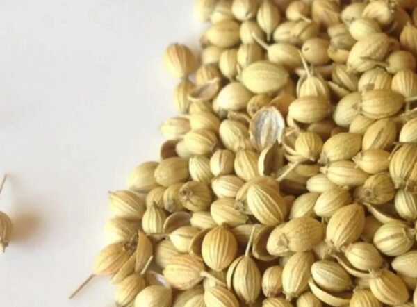 Sabut Dhaniya 250 g