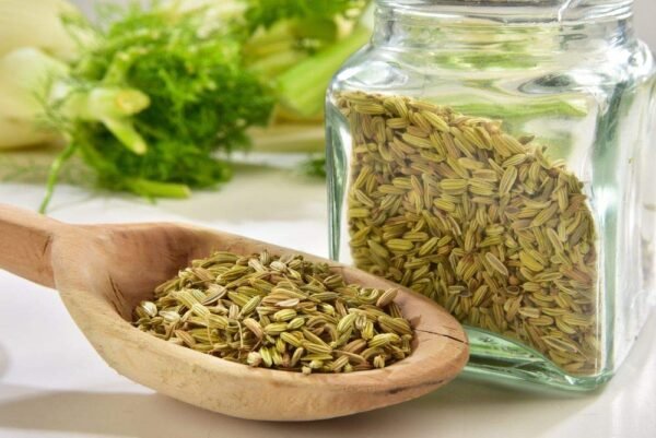 Fennel (Saunf) Whole 100 g